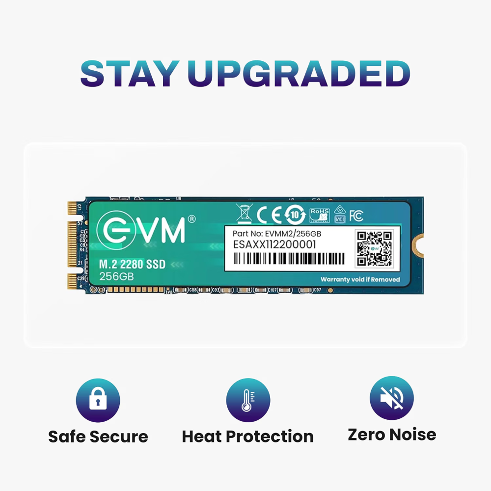 EVM 256GB M.2 SATA SSD 2280, High-Speed Internal Solid State Drive for Desktop & Laptop Computers