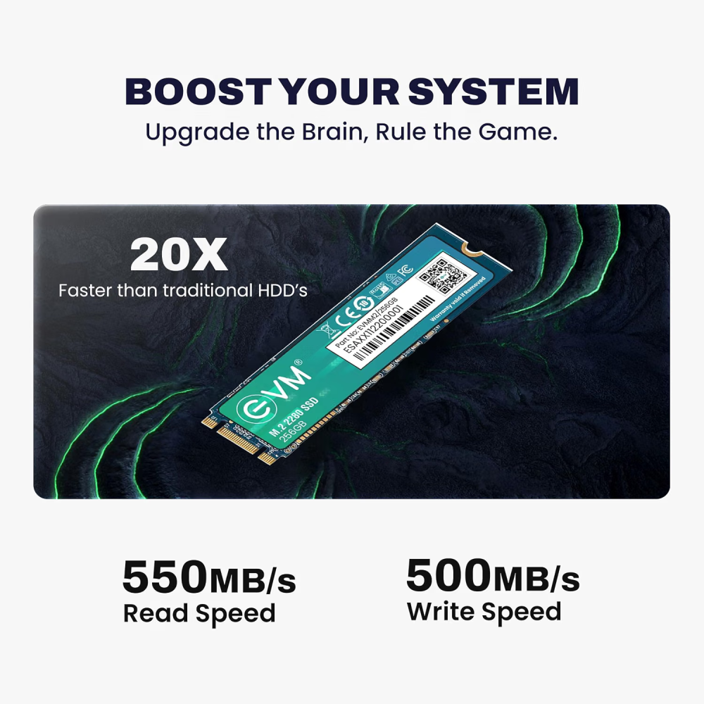 EVM 256GB M.2 SATA SSD 2280, High-Speed Internal Solid State Drive for Desktop & Laptop Computers