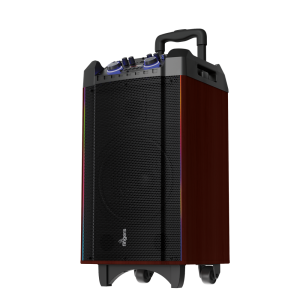 Rolling parties woodsound-81 70W Powerfull Wood Sound Speaker