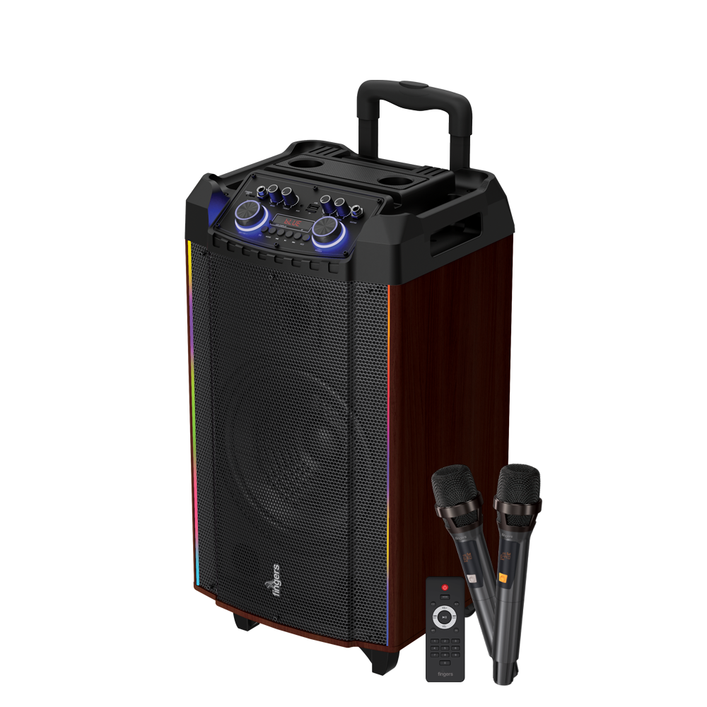 Rolling parties woodsound-81 70W Powerfull Wood Sound Speaker